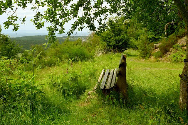 反复冲刺的 反复冲刺的