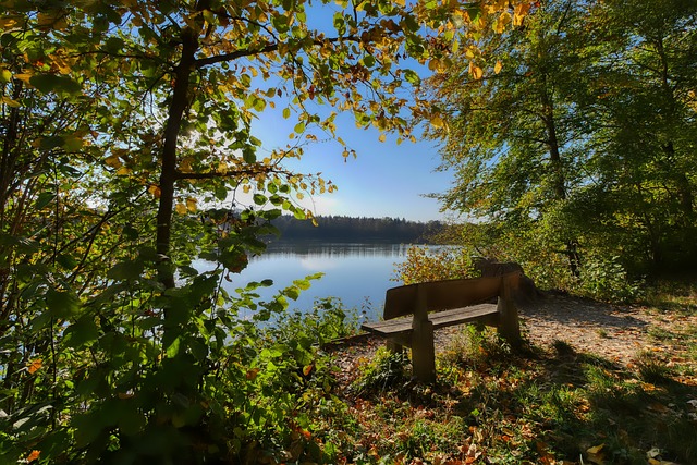 威少爆发！掘金129-93爵士，约基奇狂砍两双，波特和布劳恩火力猛.