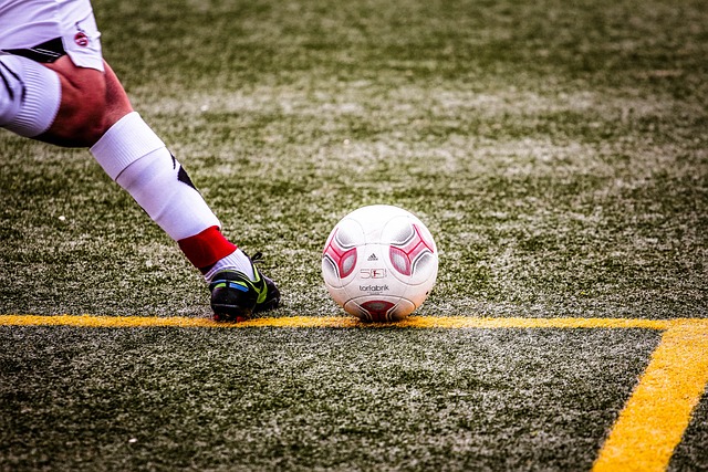 巴恩斯的全 巴恩斯的全