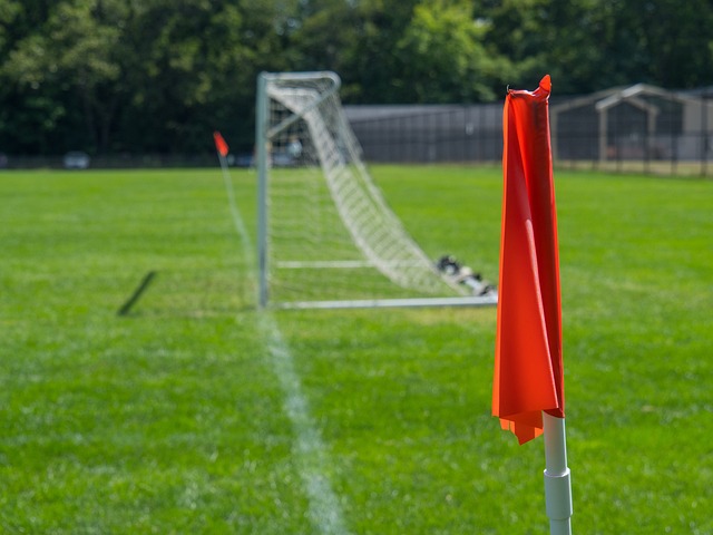 都是对乒乓 都是对乒乓