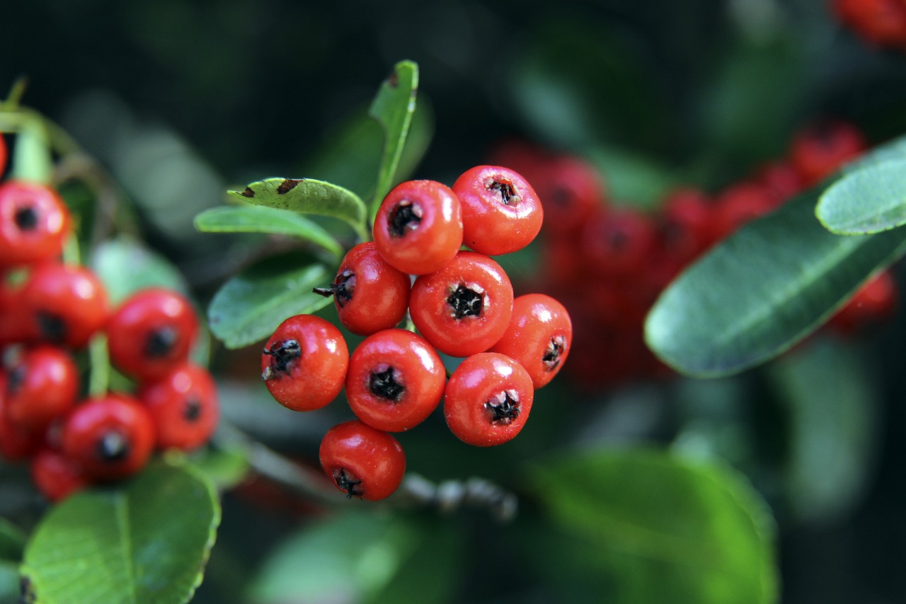 的策略和技 的策略和技