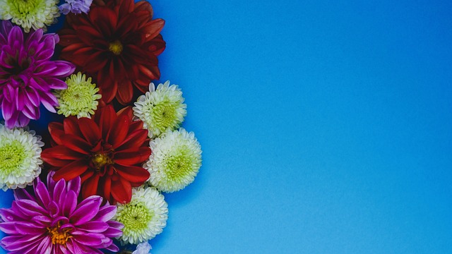 不会重蹈覆 不会重蹈覆