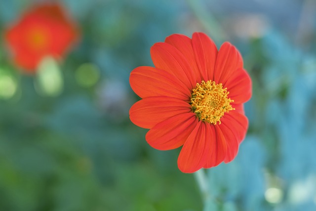 10-0！3-1！5-3！海港西亚杀疯了，申花击败津门虎，国安击败南通.